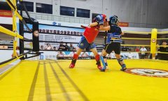 2025年福建省第三屆青少年武術(shù)散打公開賽巔峰對(duì)決在漳州長泰圓滿收官